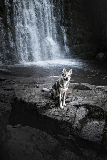 满120减100...深圳数字人民币红包来啦！