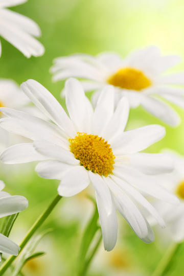 泽连斯基白宫“舌战”特朗普：矿产协议告吹，乌克兰危机再添变数