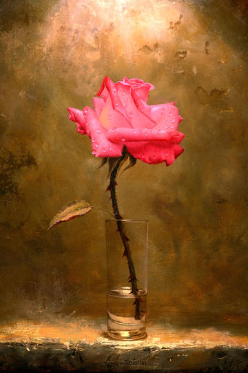 如何看待横扫奥斯卡的奉俊昊，第一个新片《编号 17》在全球（除韩国）票房遇冷扑街？