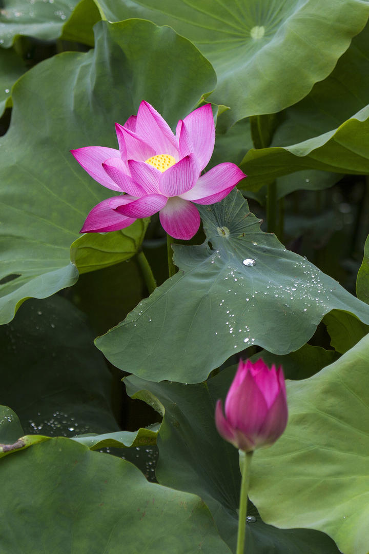 商务部：美方想谈要拿出诚意和行动